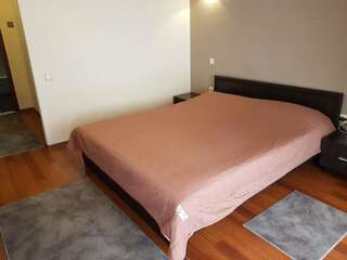 Апарт-отели Helen Hotel Николаев Стандартный двухместный номер с 1 кроватью-4